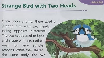 The strange Bird with two Heads दो सिरों वाली विचित्र चिड़िया की कहानी Chapter 1 of Moral Values (4)