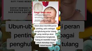 ubun ubun bayi kenapa yaa 😱✍️