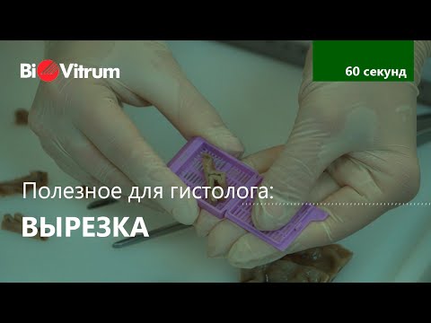 Вырезка: основные правила