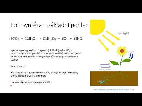 Video: Stává se to během fotosyntézy?