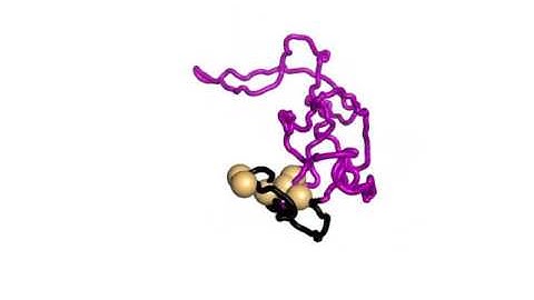 Dynamics of loop extrusion