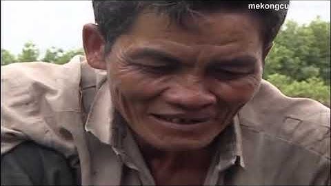 Thân thương sông nước Cà Mau - những thước phim từ 15 năm trước