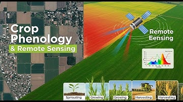 Gewasfenologie en remote sensing | Monitoring van gewasdynamiek met satellieten