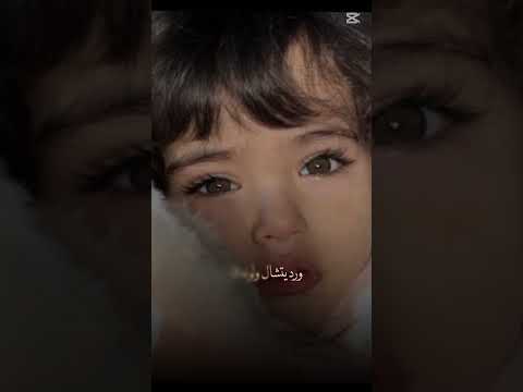 رمش خطاف
