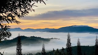 NIKAYA Thiền Biết Ơn ( 26/9/2024)