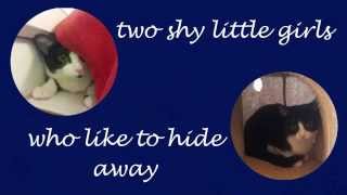 Tilly Milly 4Th January 2015