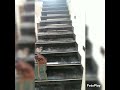 New the stairs  amazing contraction