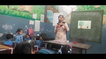 ignou Dece project,phase:-2 day:-23,activity:-17(a)trees and plants