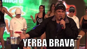 Yerba Brava Inedito cantando el Monito