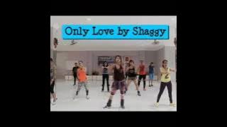 Download lagu Zumba 'Only Love' by Shaggy ft. Pitbull