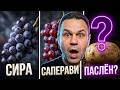 Вино со вкусом... КАРТОШКИ? Разбираемся с ароматами Сира - Саперави