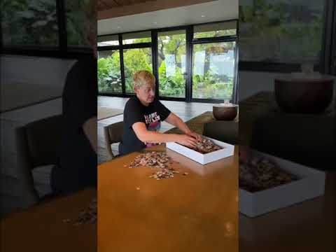 Ellen DeGeneres During Coronavirus Social Distancing Ellen DeGeneres During Coronavirus Social Distancing