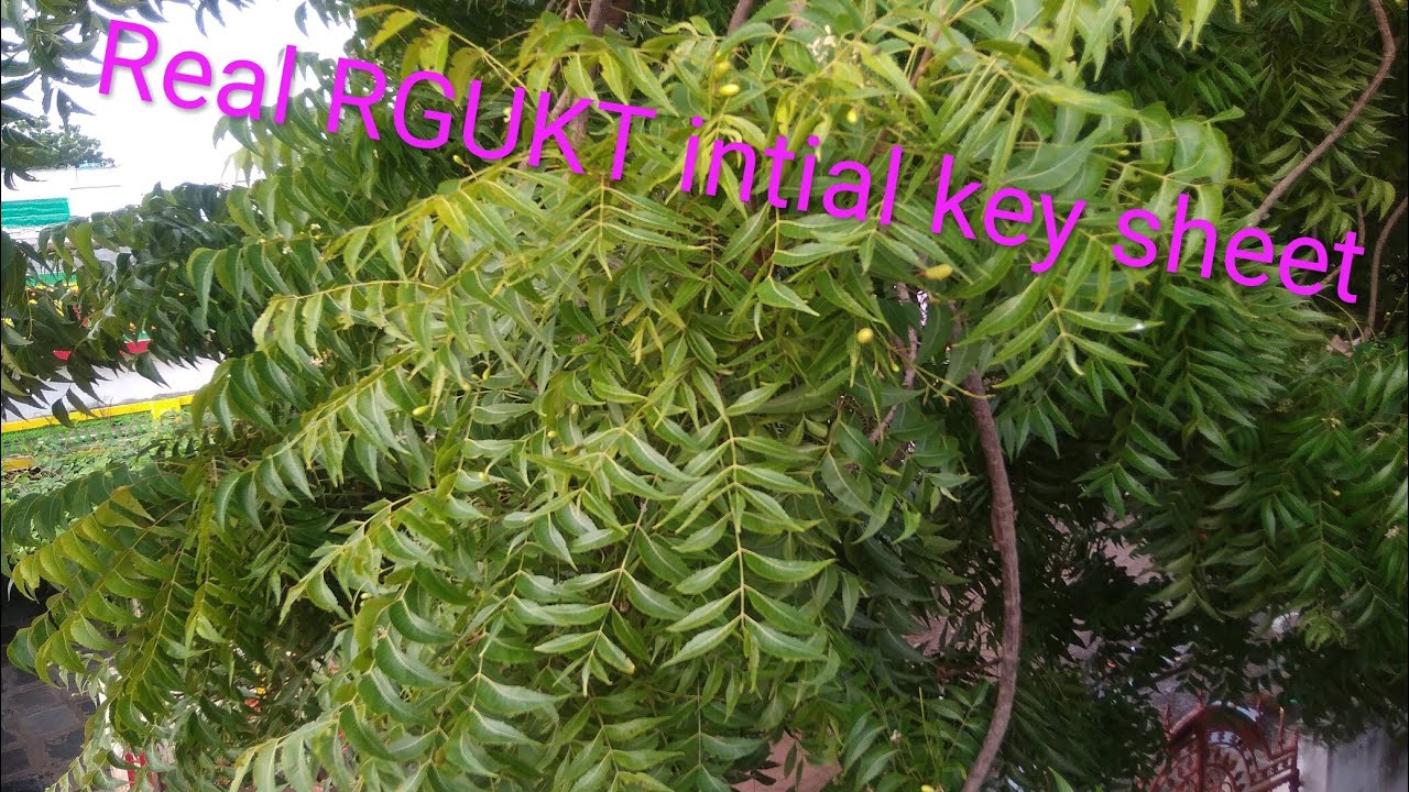 RGUKT 2021 intial key sheet for IIIT entrance 26/09/2021