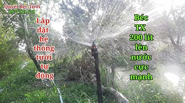 Cung cấp, lắp đặt hệ thống tưới tự động sử dụng béc tưới TX thân xoai 200 lít #quyetbectuoi