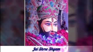 Pyara Saa Mukhda Ghunghrale Kesh Khatu Shyam Bhajan । प्यारा सा मुखड़ा घुंघराले केश । श्री श्याम भजन।