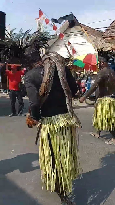 Dayak Janur Kuning Bawa Ular Piton Karnaval Desa Ngunut#shorts