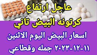 سعر البيض اسعار البيض اليوم الاثنين ١١-١٢-٢٠٢٣ في مصر