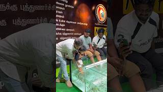 NR Fish Spa🥰 Besant Nagar beach +919952085544 #youtubeshorts #spa #cute #fish #yt #youtube #chennai
