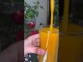 mango 🥭 fresh juice #coversong #love #song #duet #hijab #food #carrott #eggrecipes