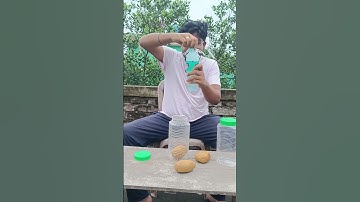 Do you want to see what happened to the potatoes? #experiments #science #scienceexperiments #shirts