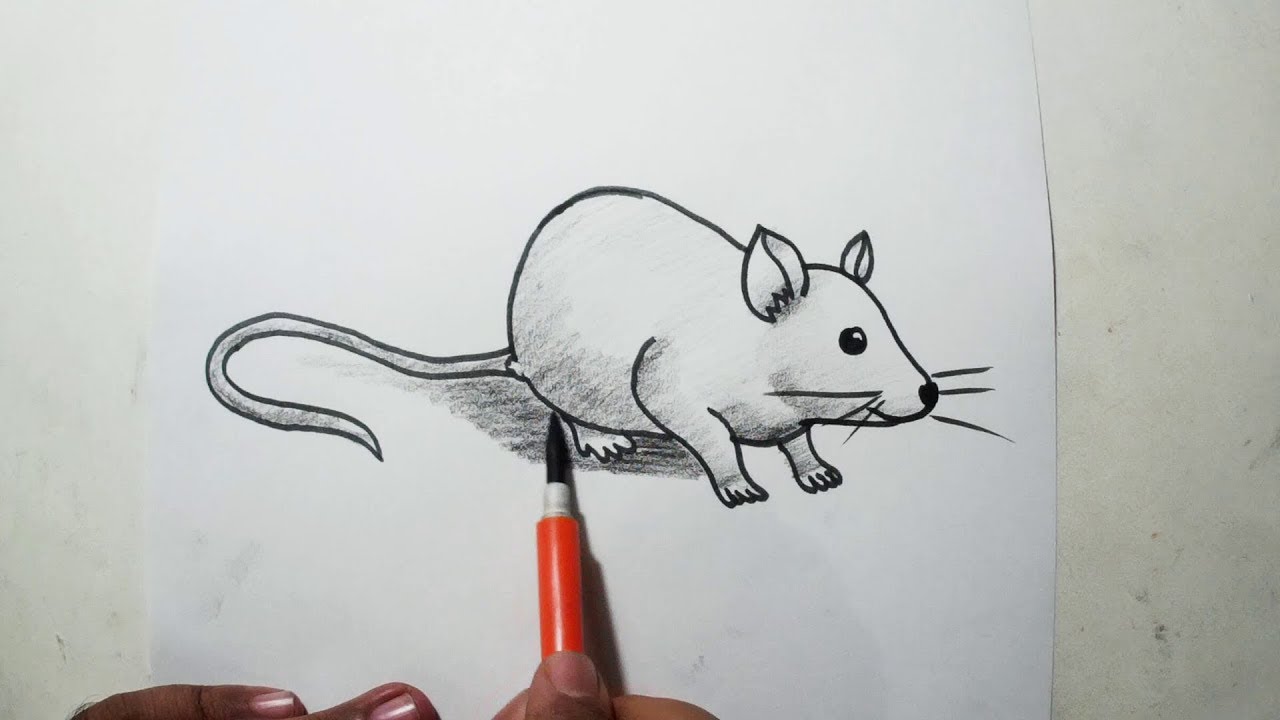 How to Draw A Rat Easy Pencil Drawing YouTube