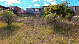 Mind-Blowing TRANSFORMATION: Garden Jungle Neglected for 6 Years Comes BACK TO LIFE!