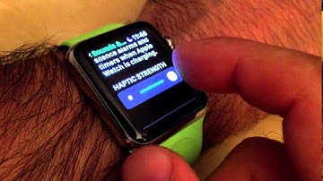 Additional Accessibility on Apple Watch