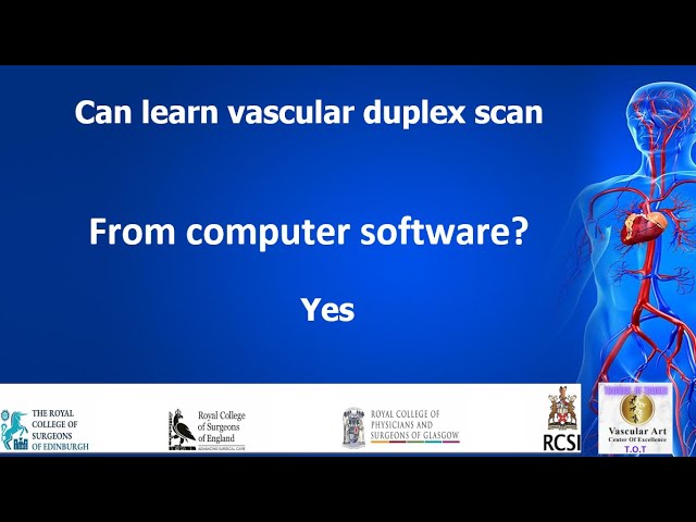 Vascular online training can you learn vascular duplex scan from program ? yes of course class=
