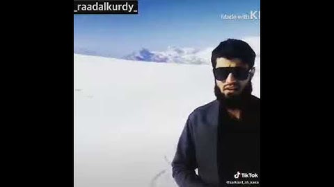 رعد محمد الكردي سورة الشمس