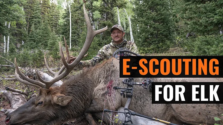 E-Scouting for Elk with Trail Kreitzer