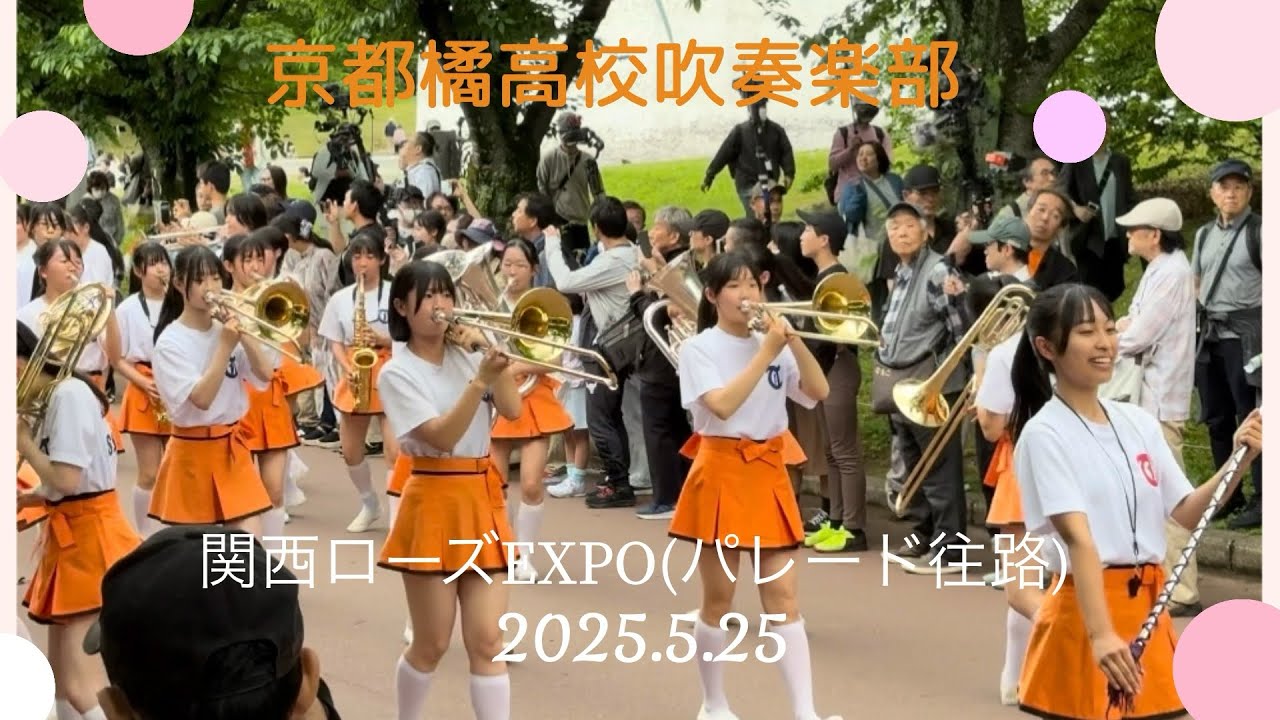 京都橘】「ローズパレード」(笑)🌹関西ローズEXPO2025