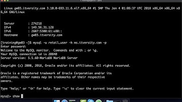 Understanding MySQL Databases in the Cluster