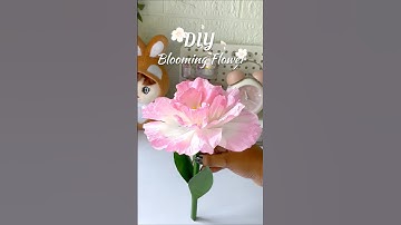 DIY Blooming Flower #shorts #viralshorts #tissuepaperflower #craftideas #handmade