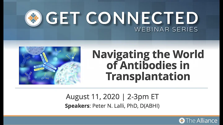 Navigating the World of Antibodies in Transplantation
