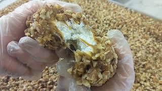 Millican Pecan | Best Pecan Log Rolls Candy For Sale | Where can I buy pecan log rolls near me?