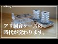 【アリ飼育ケース】ここまで進化するのか…横置きリンクスv2レビュー