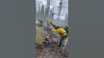 Wildland Firefighters Cutting Line in Alaska