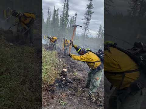 Wildland Firefighters Cutting Line in Alaska