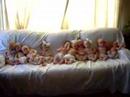 Ten babies crying on a couch