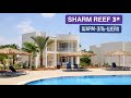 Обзор отеля SHARM REEF (Египет, Шарм-эль-Шейх)