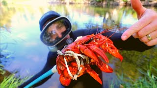 I Invent The Craw Claw!!! Crawdad Catch N' Cook