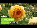 Australia's Premier Rose Garden | Garden | Great Home Ideas