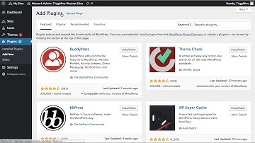 How to integrate Triggmine with WooCommerce?