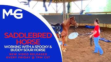 Working With A Spooky & Buddy Sour Horse | The Horse Guru - Michael Gascon