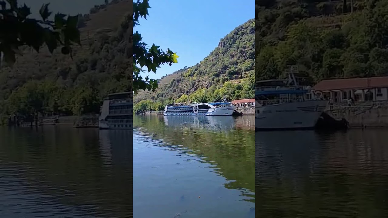 Río Douro desde Peso da Régua, Vila Real, Portugal #shortsfeed #shortsvideo #short #shorts