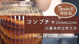 【コンブチャ】0から始める「コンブチャ(KOMBUCHA)」の作り方解説(二次発酵まで)【初心者必見】/ How to make KOMBUCHA