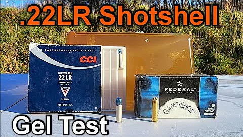 22LR CCI vs Federal Shotshell Birdshot Ratshot Snakeshot #12 Ballistic Gel Test & Reviee