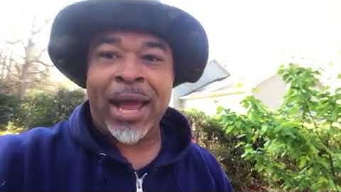 Sale your old trees (Old lost video)