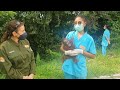 Conservation project manager kylie bullo interviews orangtuan rescue veterinarian theresia