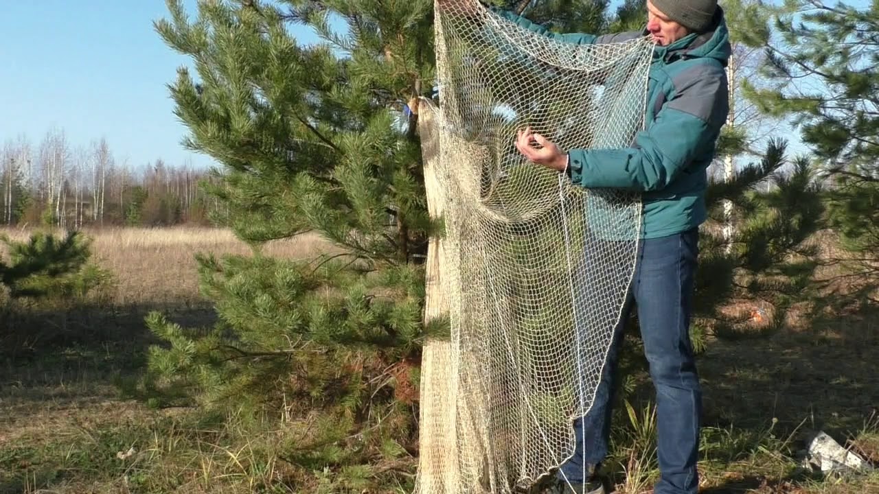 Кастинговая сеть: устройство, особенности и законность | Cast net ...